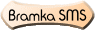 Bramka SMS